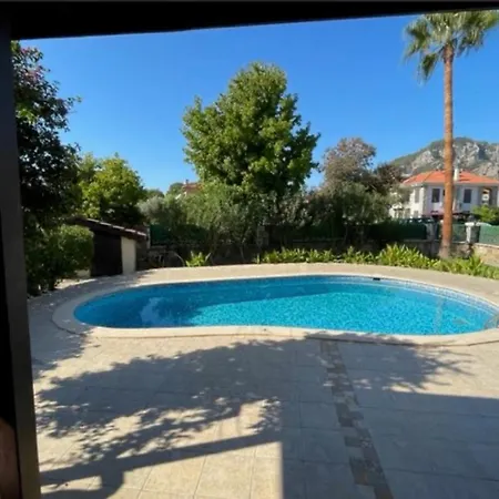 Willa Caretta Luna *